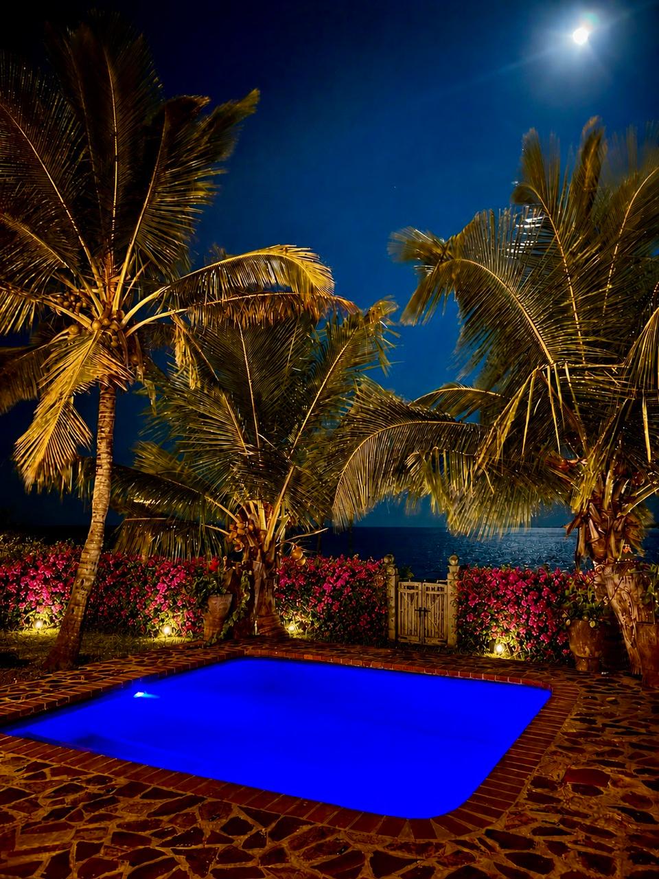 Pool and garden